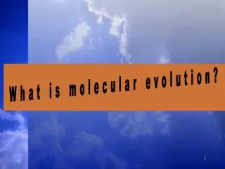 What is molecular evolution?