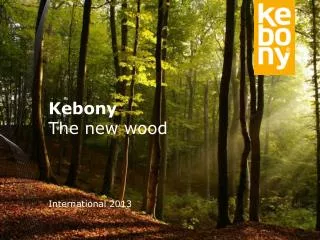 Kebony The new wood International 2013