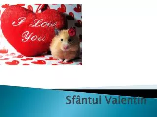 sf ntul valentin