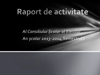 raport de activitate
