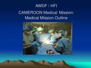 AWDF / HFI CAMEROON Medical Mission: Medical Mission Outline