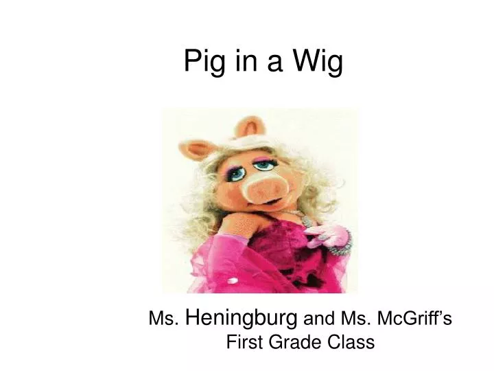 pig in a wig