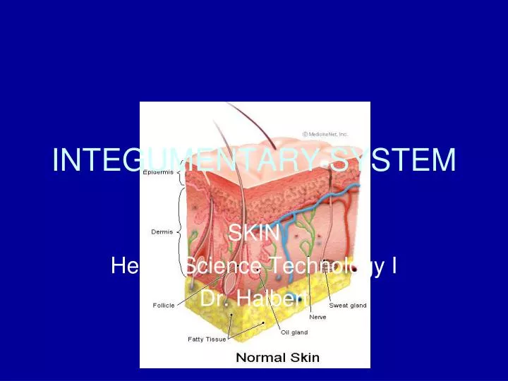 skin health science technology i dr halbert
