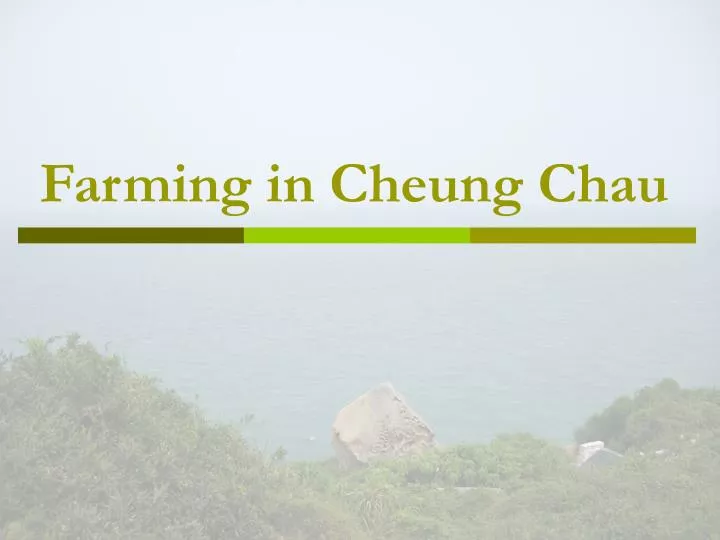 farming in cheung chau