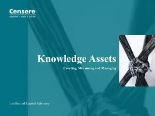 Knowledge Assets