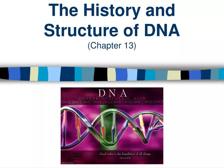 the history and structure of dna chapter 13