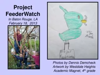 Project FeederWatch In Baton Rouge, LA February 18, 2013