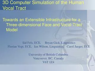 3D Computer Simulation of the Human Vocal Tract