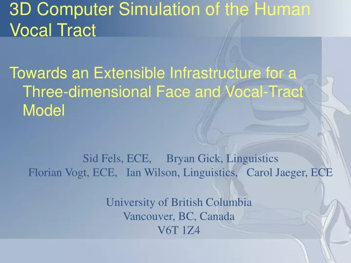 3d computer simulation of the human vocal tract