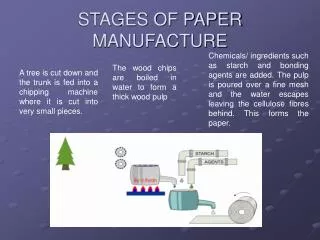 STAGES OF PAPER MANUFACTURE