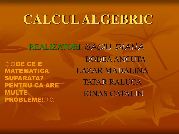 calcul algebric