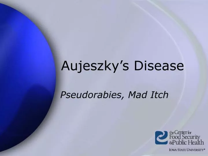 aujeszky s disease