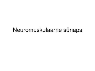 Neuromuskulaarne sünaps
