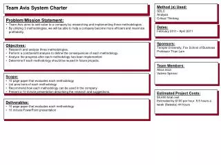 Team Avis System Charter