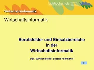 berufsfelder und einsatzbereiche in der wirtschaftsinformatik dipl wirtschaftsinf sascha fankh nel