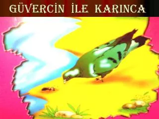 g verc n le karinca