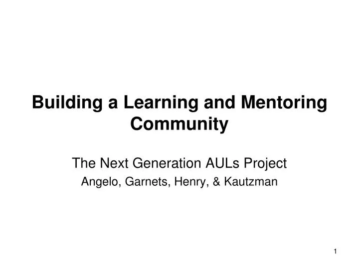 building a learning and mentoring community