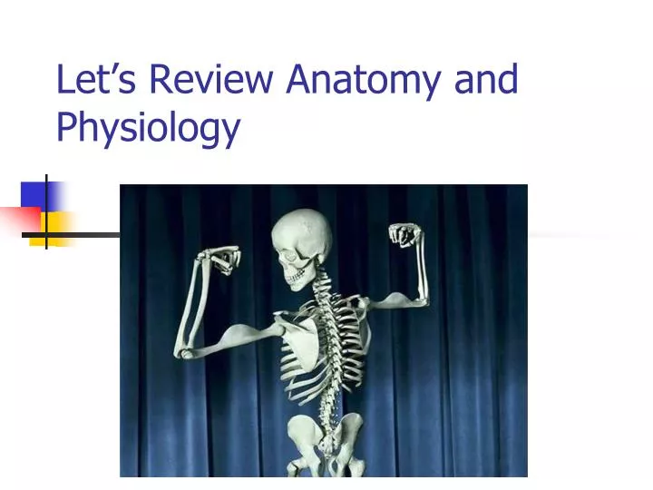 let s review anatomy and physiology