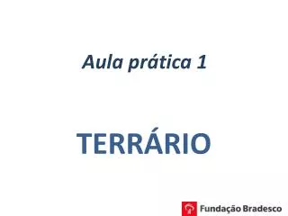 aula pr tica 1