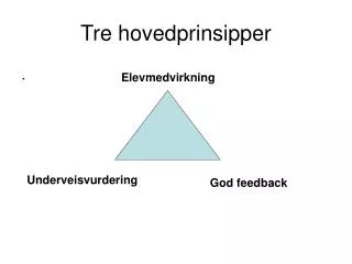 tre hovedprinsipper