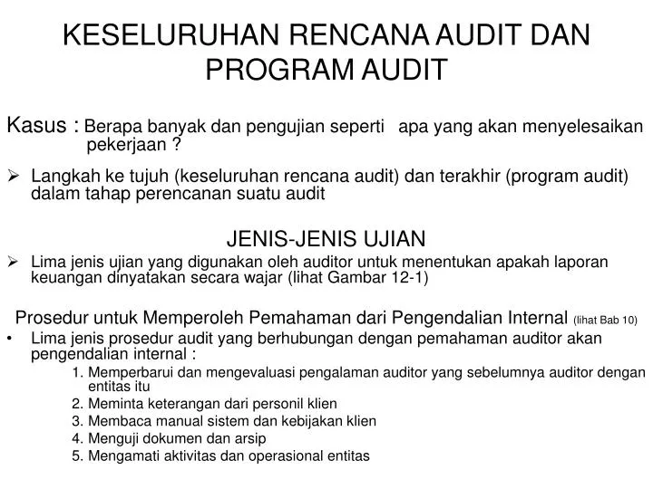 keseluruhan rencana audit dan program audit