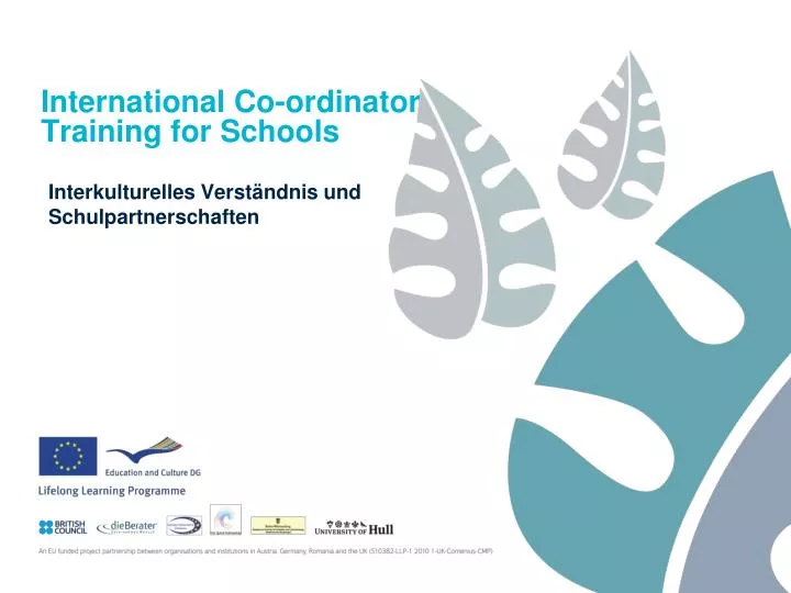 international co ordinator training for schools