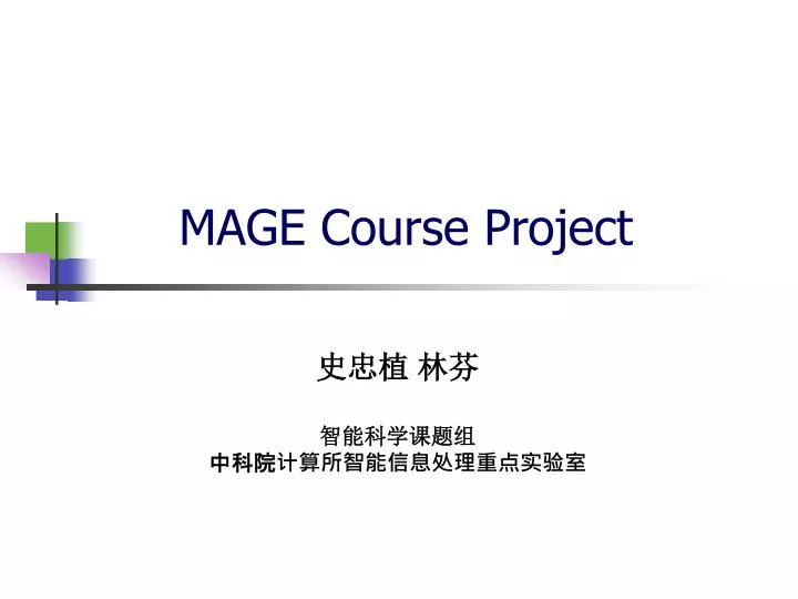 mage course project
