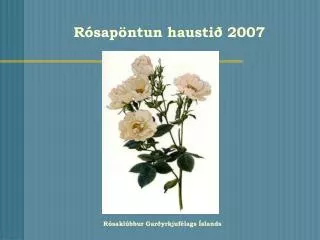 r sap ntun hausti 2007