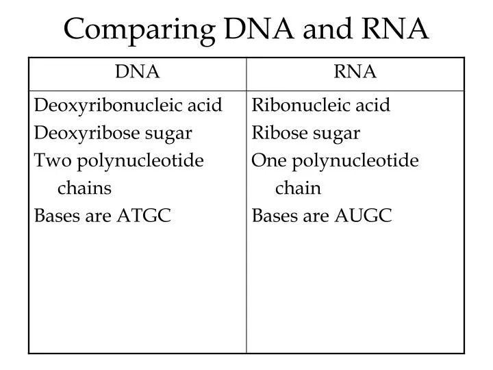 comparing dna and rna