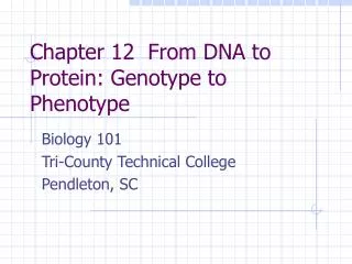 Chapter 12 From DNA to Protein: Genotype to Phenotype