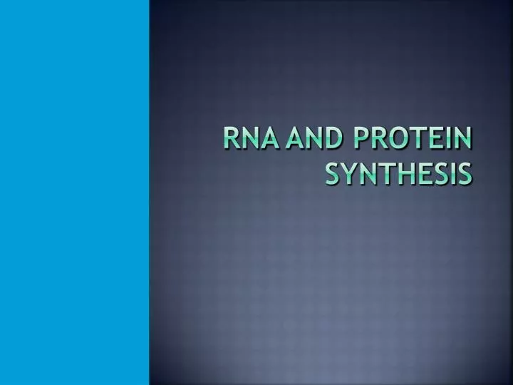 rna and protein synthesis