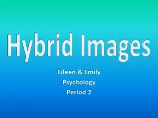 Hybrid Images