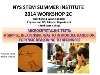 NYS STEM SUMMER INSTITUTE 2014 WORKSHOP 2C