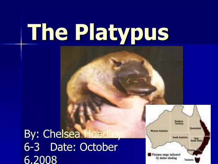 the platypus