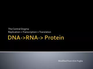 DNA-&gt;RNA-&gt; Protein