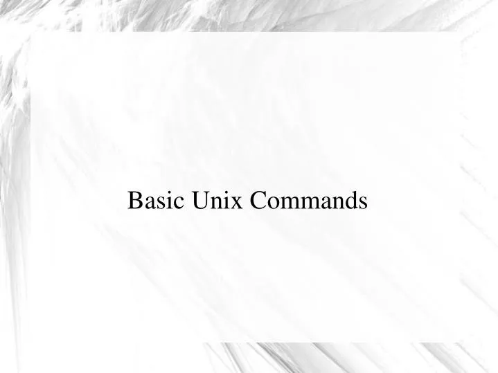 basic unix commands