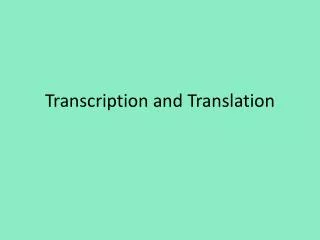 transcription and translatio n
