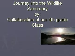 Journey into the Wildlife Sanctuary by: Collaboration of our 4th grade Class