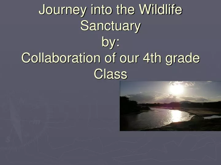 journey into the wildlife sanctuary by collaboration of our 4th grade class