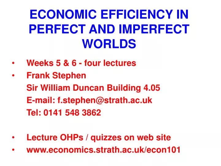 economic efficiency in perfect and imperfect worlds