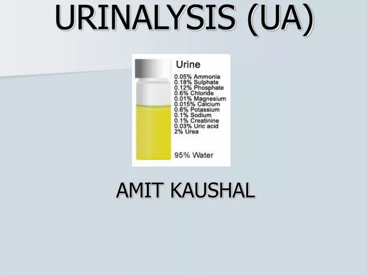 urinalysis ua