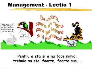management lectia 1