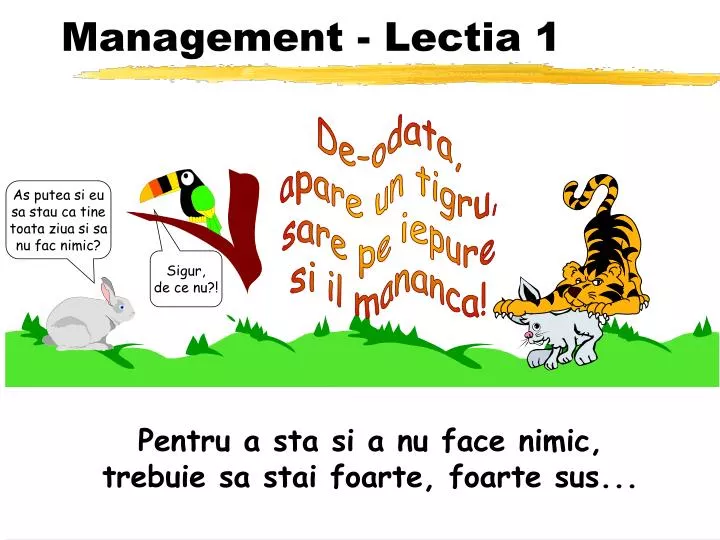 management lectia 1