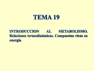 tema 19