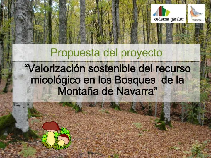 propuesta del proyecto