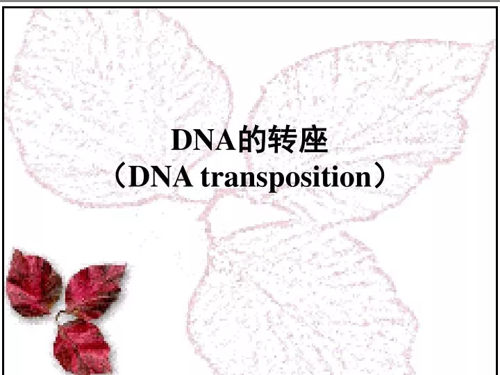 dna dna transposition