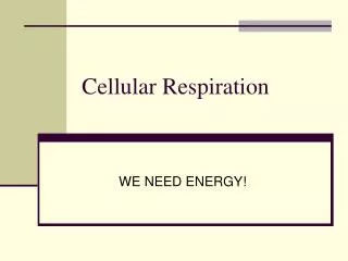 Cellular Respiration