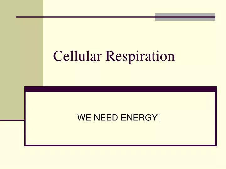 cellular respiration