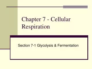 Chapter 7 - Cellular Respiration