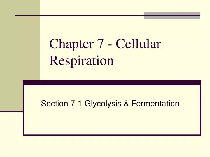 chapter 7 cellular respiration